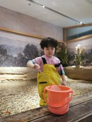 -造物庄园 萌宠纪(苏州湾歌林公园店)