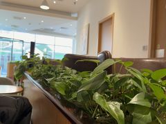 -COSTA COFFEE(天通苑华联店)