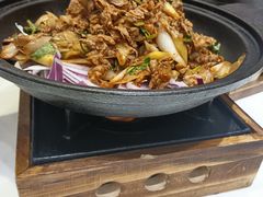 -紫光园·烤鸭(吕家营店)