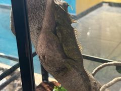 -昆山招商花园城