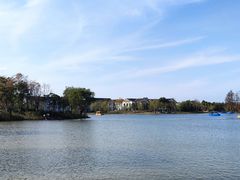 -上海长兴岛郊野公园