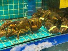-坛南湾阿强农家乐.海鲜大排档老字号(福州地标美食店)
