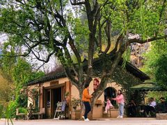 -村上春树