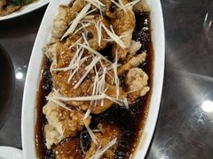 -清真·安乐园菜馆(茶南店)