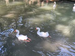 -兰亭风景区