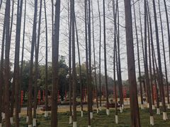 -东坡赤壁风景名胜区