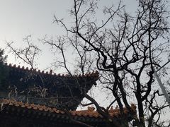 -挂甲禅寺
