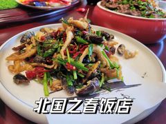 -北国之春酒店(劳动公园店)