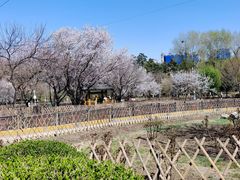 -黑龙江省森林植物园