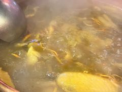 -阿山卓·野生菌火锅·纳西火塘烤肉