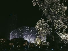 -广州柏悦酒店·悦吧·顶楼露天酒吧