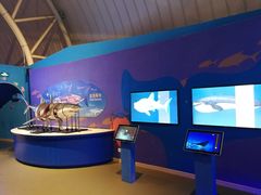 -烟台海昌鲸鲨海洋公园