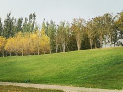 -瀛海足球主题公园