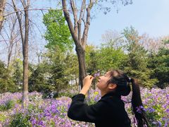 -燕郊植物园