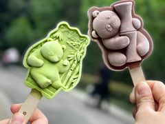 -成都大熊猫繁育研究基地
