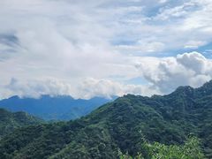 -大岭沟猕猴桃谷风景区