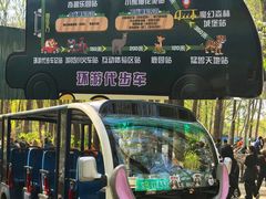 -水哥卜卜贝(东晓·胜汇里店)