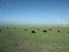 -青海湖国家重点风景名胜区