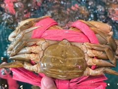 -东江海鲜大排档·潮汕菜·砂锅粥