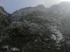 -终南山国家森林公园