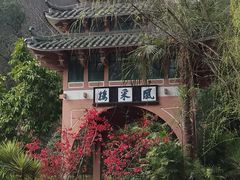 -重庆园博园
