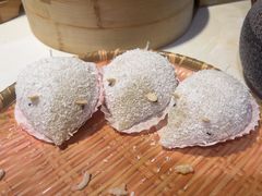 -点都德·毕德寮