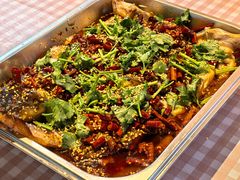 -百好乐宠物友好餐厅(朝外大街店)