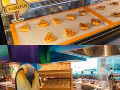 -帝企鹅自助餐厅•儿童岛•真企鹅(长隆企鹅酒店)