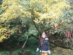 -梦姑塘文化公园
