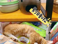 -南泰百货批发市场