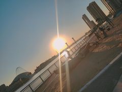 -海河外滩公园