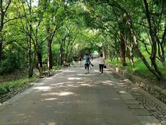 -灵谷景区