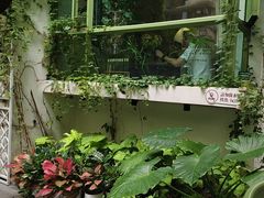 -绿房子方寸咖啡(星海名城店)