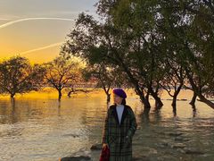 -宝安西湾红树林湿地公园