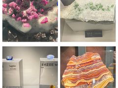 -中国地质博物馆