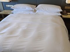 -舟山希尔顿酒店