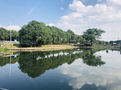 -水岸居湖景农家乐·阳澄湖大闸蟹