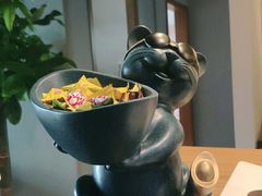 -梵猫·新养生(湛江鼎盛店)