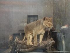 -西安秦岭野生动物园