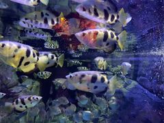 -成都浩海立方海洋公园