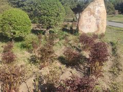 -长春公园(普阳街道)