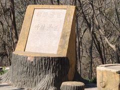 -镇江市南山风景名胜区竹林景区