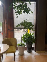 -香秀空间科技抗衰·美容中心