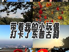 -灵顺寺