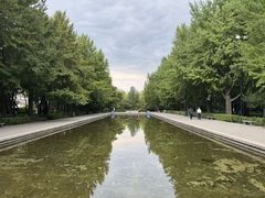 -玲珑塔公园