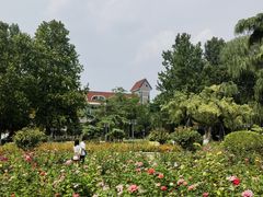 -天津五大道文化旅游区