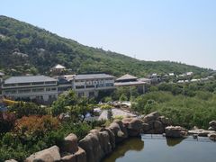 -徂徕山森林康养度假谷温泉
