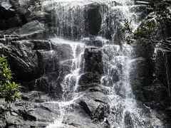 -海南热带雨林国家公园吊罗山景区
