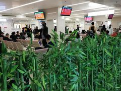 -北京协和医院(东单院区)