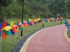 -九龙湖公园